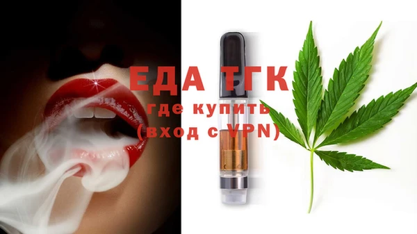 индика Абинск
