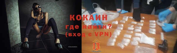 индика Абинск