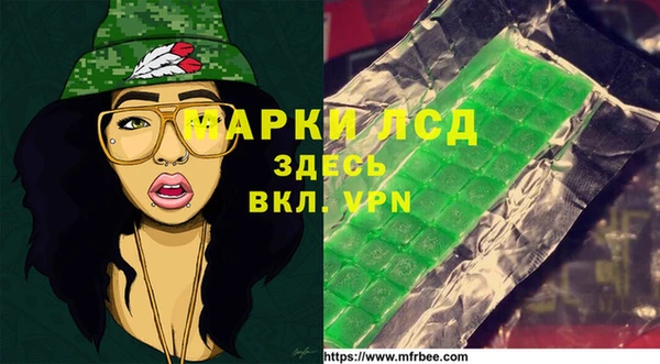 индика Абинск